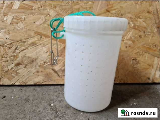 Баночки для наживы Петропавловск-Камчатский - изображение 1