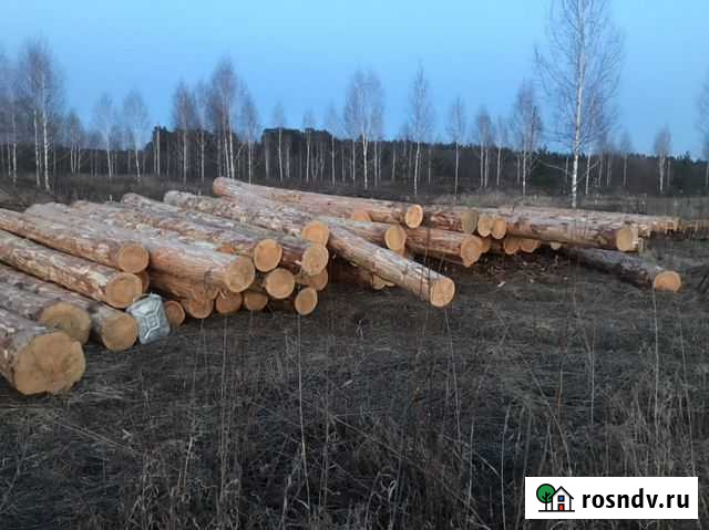 Окорщик леса Вологда - изображение 1