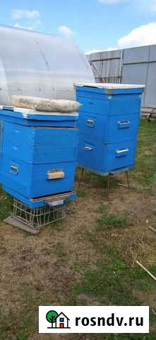 Улей Исаклы - изображение 1