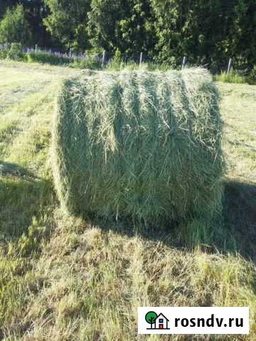 Сено покос 2021 года Воскресенское - изображение 1