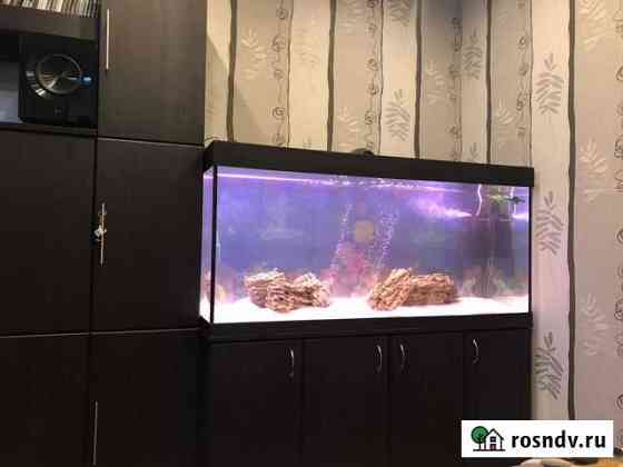 Аквариум 500 литров. Новый. Гарантия 5 лет Москва
