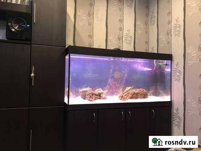 Аквариум 500 литров. Новый. Гарантия 5 лет Москва - изображение 1