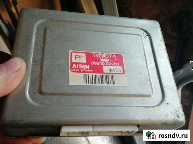 Продам мозги Бессоновка - изображение 1