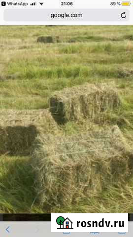 Сено в тюках Чертково - изображение 1