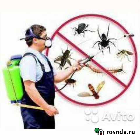 Дезинсекция.дератизация дезинфекция озонирование Саратов - изображение 1