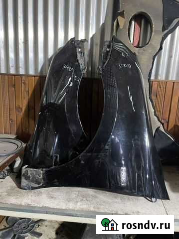 Передние крылья гранта Кумыш - изображение 1