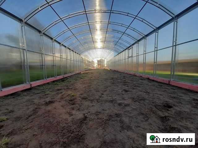 Теплица Ленинградская - изображение 1