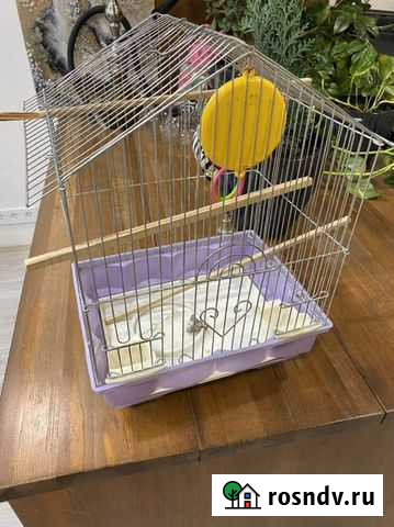 Клетка Чита - изображение 1