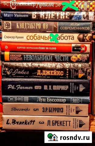 Фантастика, роман Брянск - изображение 1