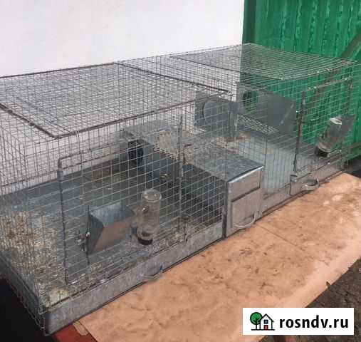 Клетка для шиншиллы Россошь - изображение 1