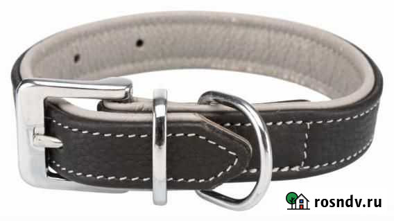 Кожаный ошейник для собаки Астрахань - изображение 1