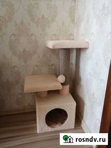 Домик для кошки новый Хабаровск - изображение 1