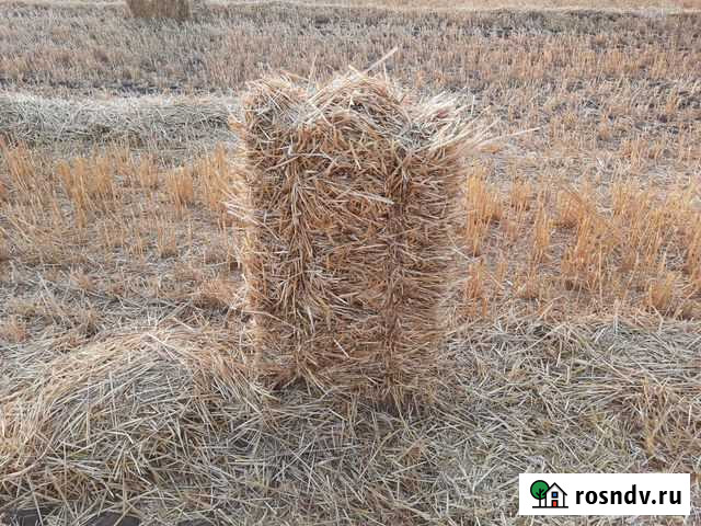 Солома Глубокий - изображение 1