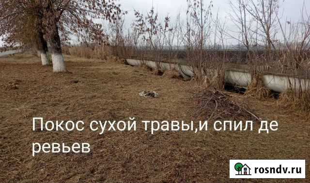 Услуги Нарткала - изображение 1