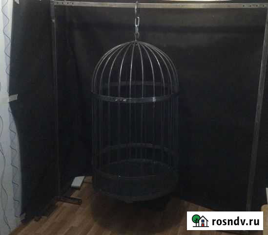 Клетка Самара - изображение 1