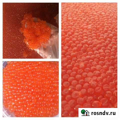 Морепродукты. Парной краб.Парной гребешок.Креветка Владивосток - изображение 1