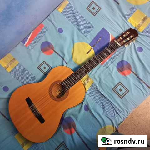 Гитара Запрудня - изображение 1