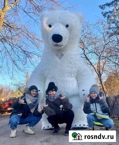 Поздравление от мишки Гиганта Санкт-Петербург - изображение 1