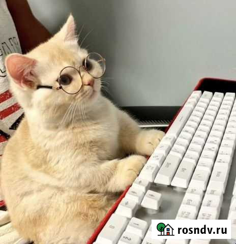 Английский онлайн - это удобно Петропавловск-Камчатский - изображение 1