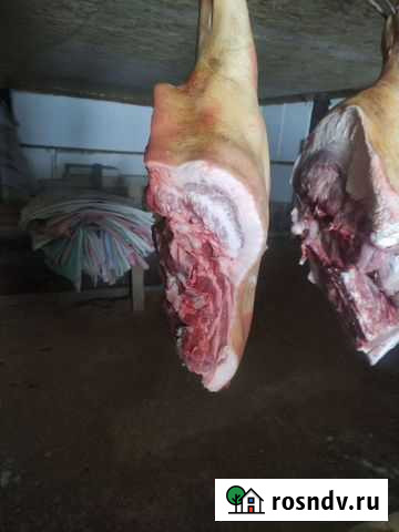 Мясо свинина домашняя Малоярославец - изображение 1