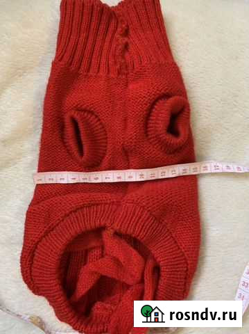 Одежда для собак Улан-Удэ - изображение 1