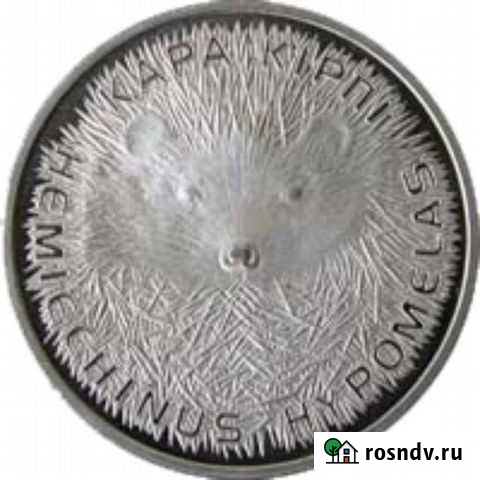 Длинноиглый еж 50 тенге Екатеринбург - изображение 1