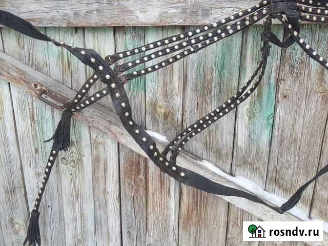 Товары для животных-коней Старосубхангулово - изображение 1