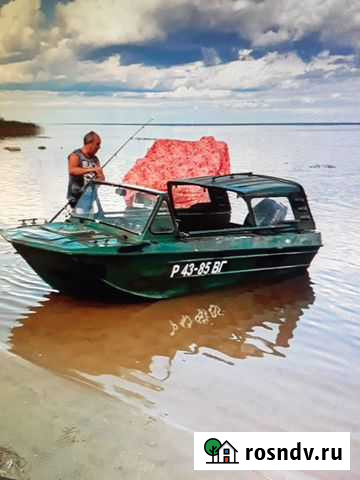 Продам сарепту Вологда - изображение 1