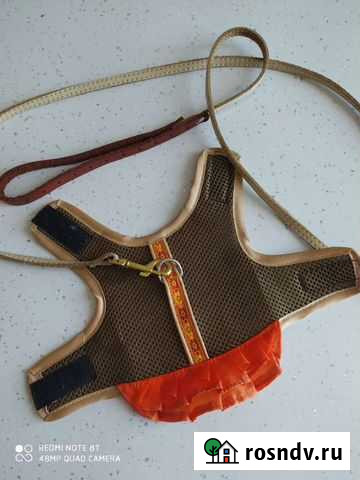 Шлейка для собаки+ поводок(кожа) Чита - изображение 1