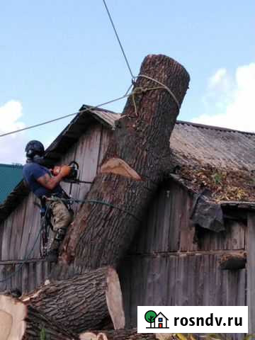 Спил деревьев Чернь - изображение 1