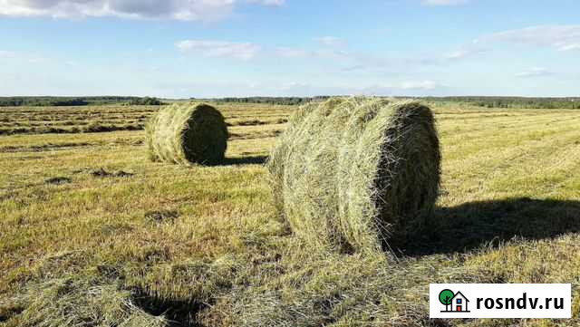 Сено в рулонах по 400 кг с доставкой Иркутск - изображение 1