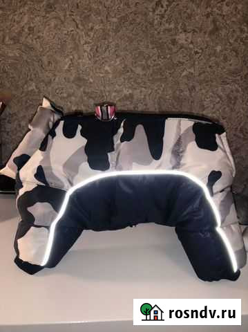 Одежда для собак Иркутск - изображение 1