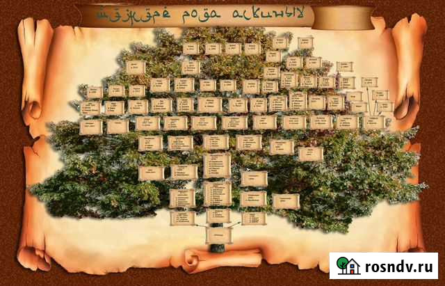 Составление родословной, поиск родственников Уфа - изображение 1