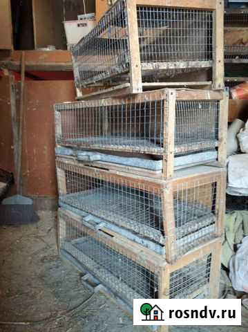 Клетка для птиц Оренбург - изображение 1