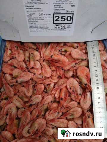 Креветка Красная Икра Рыба Динская Динская - изображение 1