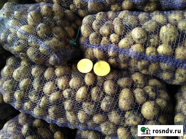 Домашний картофель с доставкой (картошка) Иркутск - изображение 1