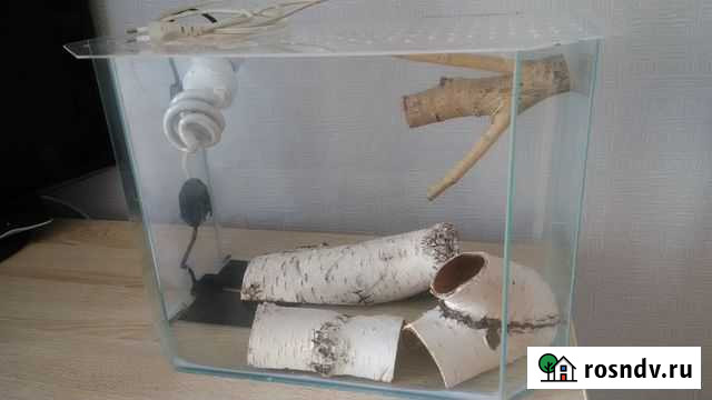 Террариум для рептилии Омск - изображение 1