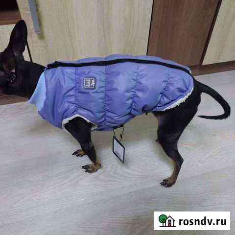 Зимняя одежда для собак и кошек Новосибирск
