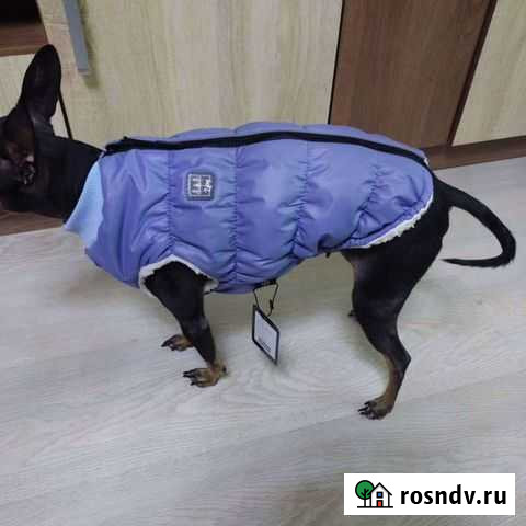 Зимняя одежда для собак и кошек Новосибирск - изображение 1