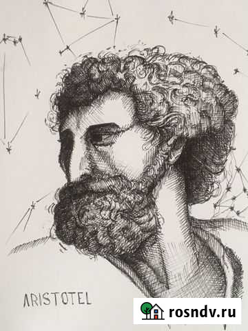 Портрет Аристотеля Мурманск - изображение 1