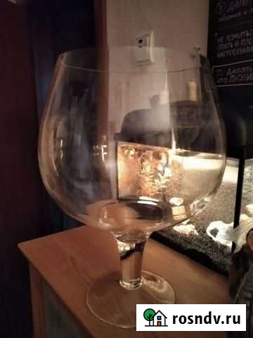 Аквариум бокал Калининград - изображение 1