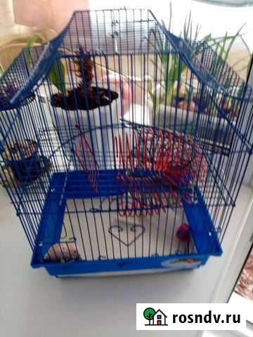 Клетка для хомяка Суздаль - изображение 1