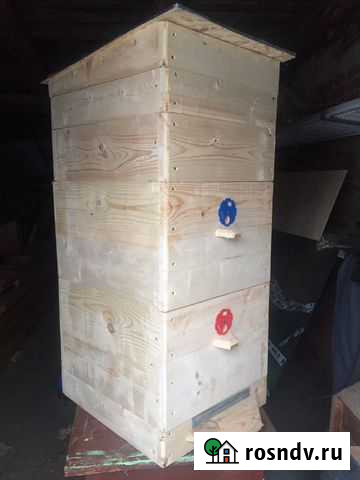 Ульи Струнино - изображение 1