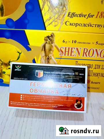 Германия Овчарка Бийск - изображение 1