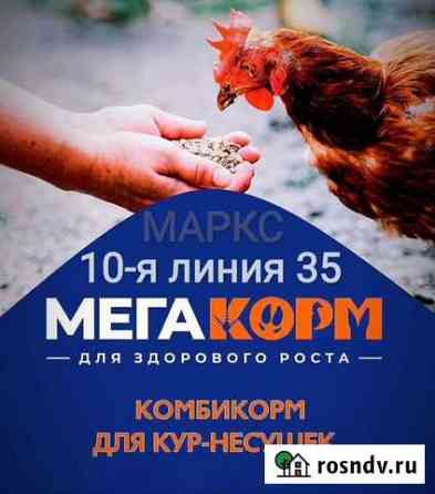 Мегакорм для несушек высокой яйценоскости Маркс