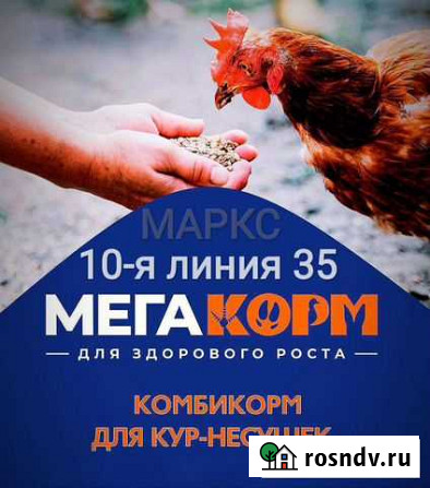 Мегакорм для несушек высокой яйценоскости Маркс - изображение 1