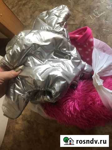 Пакет вещей на мальнького песика Хабаровск - изображение 1