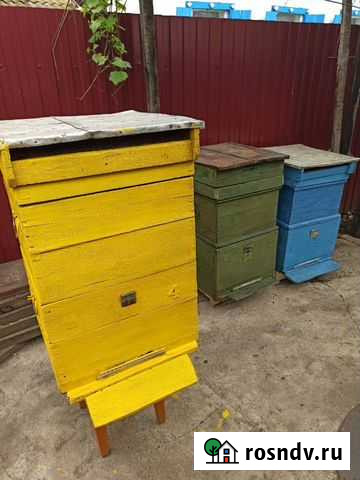 Ульи Похвистнево - изображение 1