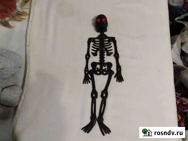 Скелет Иркутск - изображение 1