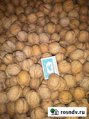 Продам грецкий орех в скорлупе Киров - изображение 1